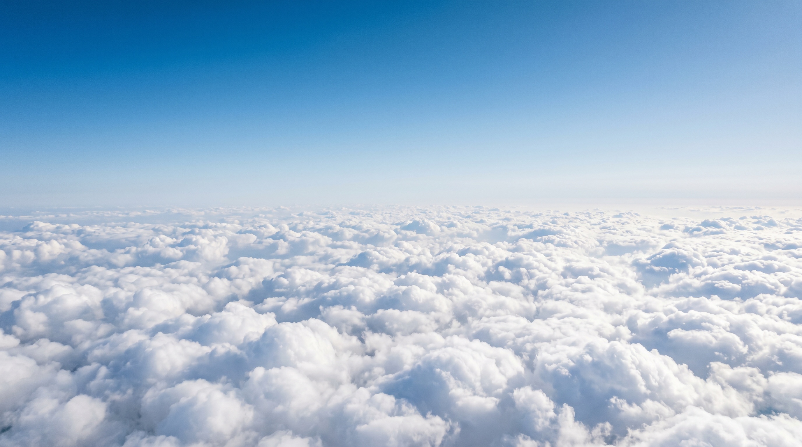 Above the clouds